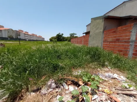 imagem 4 - TERRENO PLANO EM EXCELENTE LOCALIZAÇÃO. imagem 4 - TERRENO PLANO EM EXCELENTE LOCALIZAÇÃO.