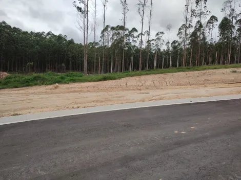 imagem 2 - TERRENO 271,38 M² A VENDA - VILA AMÉLIA imagem 2 - TERRENO 271,38 M² A VENDA - VILA AMÉLIA