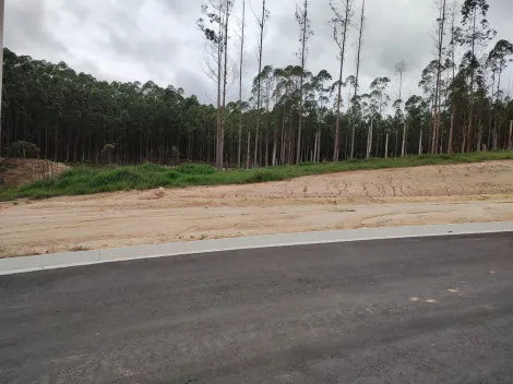 imagem 4 - TERRENO 271,38 M² A VENDA - VILA AMÉLIA imagem 4 - TERRENO 271,38 M² A VENDA - VILA AMÉLIA