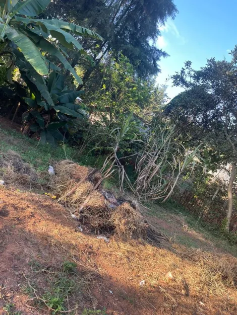 imagem 4 - Terreno - Residencial imagem 4 - Terreno - Residencial