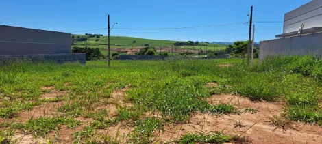 imagem 3 - Oportunidade Única no Ecopark Bourbon ? Terreno de Alto Padrão em Localização Privilegiada imagem 3 - Oportunidade Única no Ecopark Bourbon ? Terreno de Alto Padrão em Localização Privilegiada