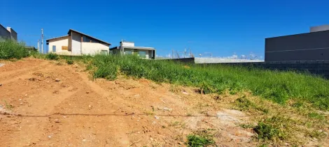 imagem 5 - Oportunidade Única no Ecopark Bourbon ? Terreno de Alto Padrão em Localização Privilegiada imagem 5 - Oportunidade Única no Ecopark Bourbon ? Terreno de Alto Padrão em Localização Privilegiada