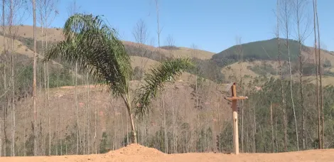 imagem 2 - LINDA CHÁCARA EM MONTEIRO LOBATO imagem 2 - LINDA CHÁCARA EM MONTEIRO LOBATO