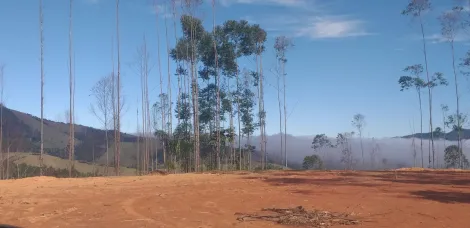 imagem 1 - LINDA CHÁCARA EM MONTEIRO LOBATO imagem 1 - LINDA CHÁCARA EM MONTEIRO LOBATO