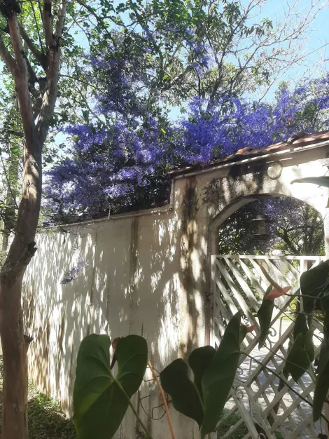 imagem 1 - Uma casa de campo dentro da cidade localizado em Condominio no bairrro Urbanova  com  910 m2 de area de terreno, com muito espaço externo, jardim, piscina, pomar, e muito mais, venha conferir! imagem 1 - Uma casa de campo dentro da cidade localizado em Condominio no bairrro Urbanova  com  910 m2 de area de terreno, com muito espaço externo, jardim, piscina, pomar, e muito mais, venha conferir!