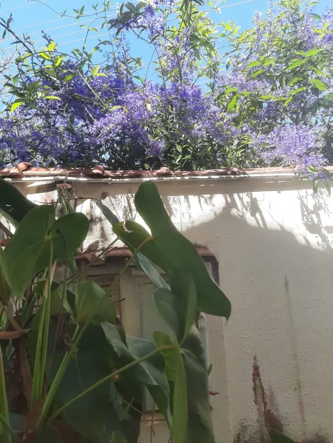 imagem 3 - Uma casa de campo dentro da cidade localizado em Condominio no bairrro Urbanova  com  910 m2 de area de terreno, com muito espaço externo, jardim, piscina, pomar, e muito mais, venha conferir! imagem 3 - Uma casa de campo dentro da cidade localizado em Condominio no bairrro Urbanova  com  910 m2 de area de terreno, com muito espaço externo, jardim, piscina, pomar, e muito mais, venha conferir!