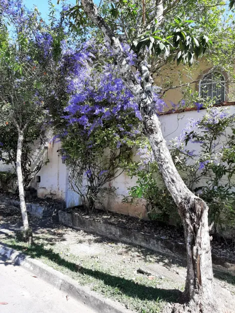 imagem 5 - Uma casa de campo dentro da cidade localizado em Condominio no bairrro Urbanova  com  910 m2 de area de terreno, com muito espaço externo, jardim, piscina, pomar, e muito mais, venha conferir! imagem 5 - Uma casa de campo dentro da cidade localizado em Condominio no bairrro Urbanova  com  910 m2 de area de terreno, com muito espaço externo, jardim, piscina, pomar, e muito mais, venha conferir!
