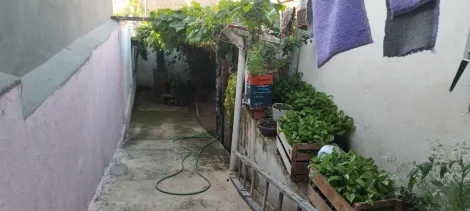 imagem 3 - CASA TERREA NO BAIRRO PUTIM/SANTA JULIA, 02 DORMITORIOS, SUITE, SALA, COZINHA, WC SOCIAL, AREA DE SERVIÇO, 03 VAGAS DE GARAGEM, QUINTAL imagem 3 - CASA TERREA NO BAIRRO PUTIM/SANTA JULIA, 02 DORMITORIOS, SUITE, SALA, COZINHA, WC SOCIAL, AREA DE SERVIÇO, 03 VAGAS DE GARAGEM, QUINTAL