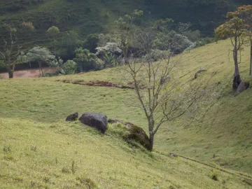 imagem 1 - Terreno - Área imagem 1 - Terreno - Área