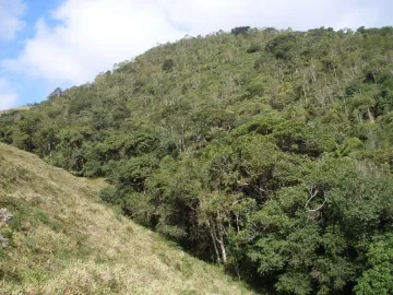 imagem 4 - Terreno - Área imagem 4 - Terreno - Área