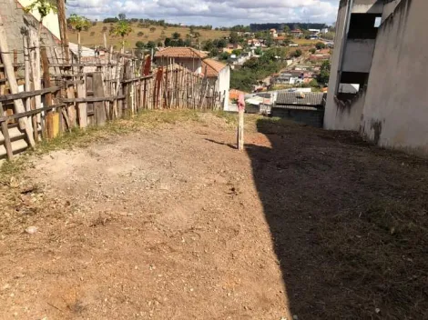 imagem 2 - EXCELENTE TERRENO DE MEIO LOTE MAIOR QUE O PADRÃO SEMI PLANO! imagem 2 - EXCELENTE TERRENO DE MEIO LOTE MAIOR QUE O PADRÃO SEMI PLANO!