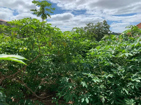 imagem 5 - Terreno de 300m² no Campos de São José - Possibilidade de Desdobro imagem 5 - Terreno de 300m² no Campos de São José - Possibilidade de Desdobro