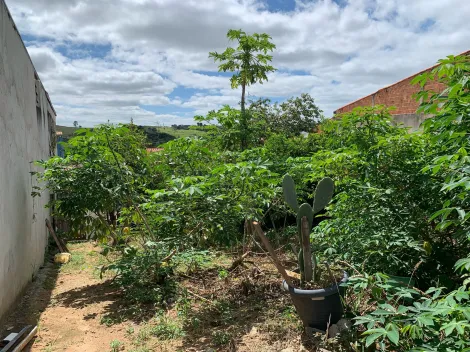 imagem 4 - Terreno de 300m² no Campos de São José - Possibilidade de Desdobro imagem 4 - Terreno de 300m² no Campos de São José - Possibilidade de Desdobro