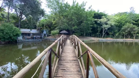 imagem 1 - Rural - Fazenda, Sítio e Chácara imagem 1 - Rural - Fazenda, Sítio e Chácara