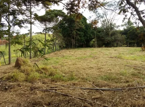 imagem 1 - LINDO TERRENO NO BAIRRO ITAMARATY/ CAÇAPAVA imagem 1 - LINDO TERRENO NO BAIRRO ITAMARATY/ CAÇAPAVA