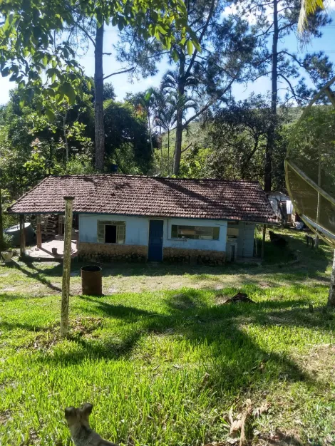 imagem 4 - Rural - Fazenda, Sítio e Chácara imagem 4 - Rural - Fazenda, Sítio e Chácara
