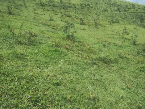 imagem 5 - Chácara em Monteiro Lobato imagem 5 - Chácara em Monteiro Lobato