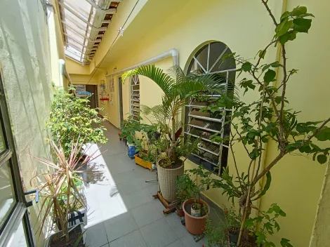 imagem 1 - Casa térrea com 3 dormitórios imagem 1 - Casa térrea com 3 dormitórios
