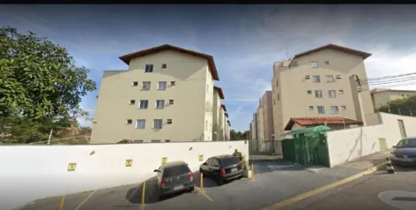 imagem 1 - Apartamento com 2 Quartos à venda, 52m² e  Elevador e Sacada - Jardim Sul imagem 1 - Apartamento com 2 Quartos à venda, 52m² e  Elevador e Sacada - Jardim Sul