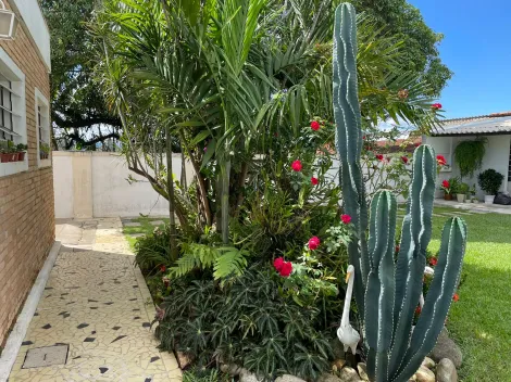 imagem 4 - ÓTIMA CASA PODE SER COMERCIAL OU RESIDENCIAL, 750 M2 TERRENO E 248 M2 AC, 4 DM, SUITE, ACEITA APTO SÓ NO MESMO BAIRRO imagem 4 - ÓTIMA CASA PODE SER COMERCIAL OU RESIDENCIAL, 750 M2 TERRENO E 248 M2 AC, 4 DM, SUITE, ACEITA APTO SÓ NO MESMO BAIRRO