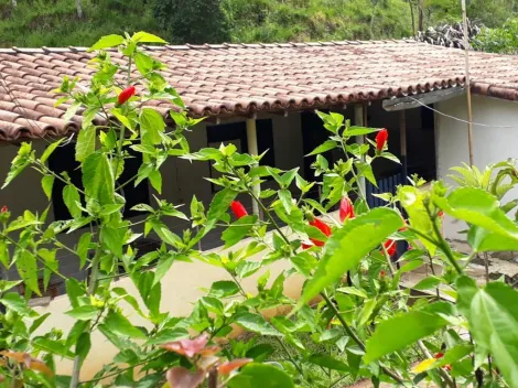 imagem 4 - Lindo Sítio em SJC imagem 4 - Lindo Sítio em SJC