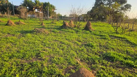 imagem 3 - Terreno - Residencial imagem 3 - Terreno - Residencial