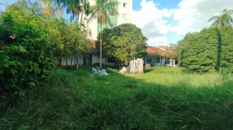 imagem 4 - Terreno - Área imagem 4 - Terreno - Área