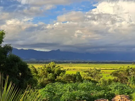 imagem 2 - Rural - Fazenda, Sítio e Chácara imagem 2 - Rural - Fazenda, Sítio e Chácara
