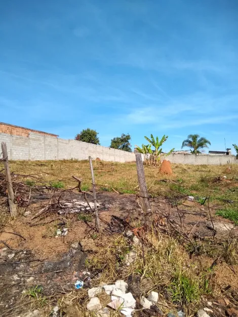 imagem 1 - ÓTIMO PAR INVESTIDOR - TERRENO DE 972 METROS EM PRINCIPAL RUA DO RES. MAJESTIC EM SJC imagem 1 - ÓTIMO PAR INVESTIDOR - TERRENO DE 972 METROS EM PRINCIPAL RUA DO RES. MAJESTIC EM SJC