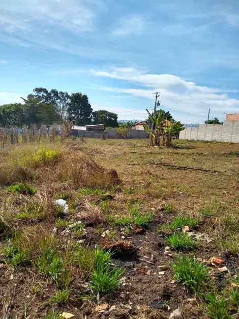 imagem 4 - ÓTIMO PAR INVESTIDOR - TERRENO DE 972 METROS EM PRINCIPAL RUA DO RES. MAJESTIC EM SJC imagem 4 - ÓTIMO PAR INVESTIDOR - TERRENO DE 972 METROS EM PRINCIPAL RUA DO RES. MAJESTIC EM SJC