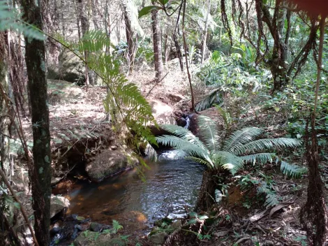 imagem 5 - lindo sitio sapucai mirim imagem 5 - lindo sitio sapucai mirim