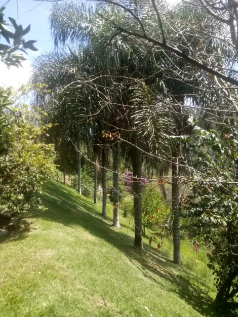 imagem 4 - Chácara em condomínio (Villagio Fazendão) - 3 quartos / 1 suíte / vista / permuta imagem 4 - Chácara em condomínio (Villagio Fazendão) - 3 quartos / 1 suíte / vista / permuta