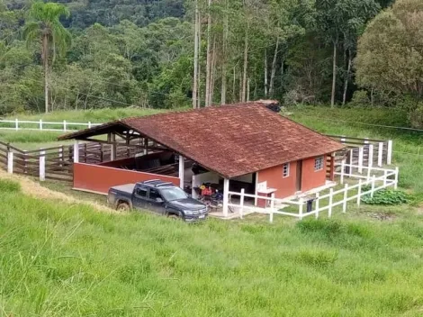 imagem 5 - Sítio com 30 alqueires (726.000 m²) localizado na zona norte de São José dos Campos/SP imagem 5 - Sítio com 30 alqueires (726.000 m²) localizado na zona norte de São José dos Campos/SP