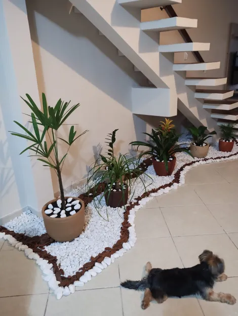 imagem 3 - Casa - Sobrado imagem 3 - Casa - Sobrado