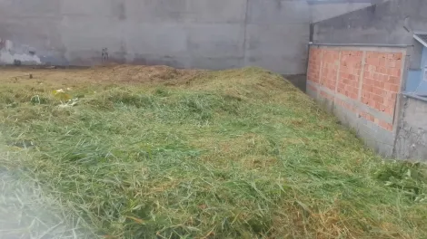 imagem 3 - Terreno Plano Misto 500,10m2  no bairro Santa Júlia imagem 3 - Terreno Plano Misto 500,10m2  no bairro Santa Júlia