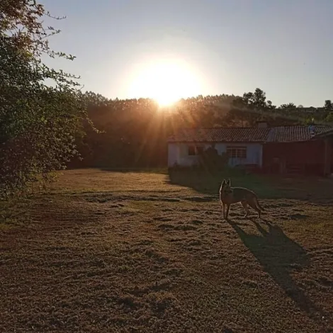 imagem 4 - Rural - Fazenda, Sítio e Chácara imagem 4 - Rural - Fazenda, Sítio e Chácara
