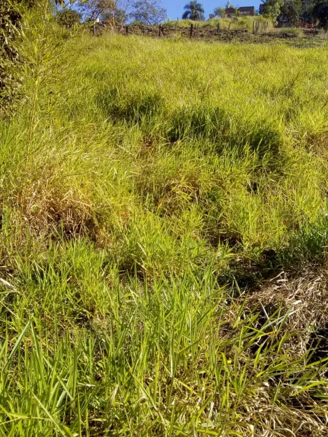 imagem 2 - Terreno - Área imagem 2 - Terreno - Área