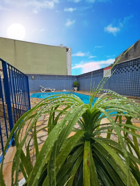 imagem 1 - Apartamento - Padrão imagem 1 - Apartamento - Padrão