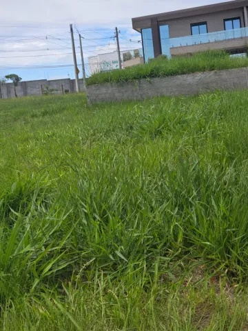imagem 3 - `Agarre Agora: Seu Terreno Plano de 250m² no Cobiçado Condomínio Ruda!` imagem 3 - `Agarre Agora: Seu Terreno Plano de 250m² no Cobiçado Condomínio Ruda!`