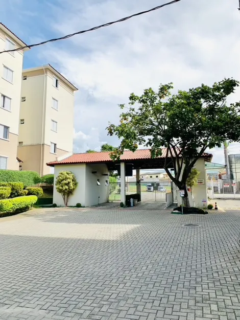imagem 5 - Apartamento Moderno e Pronto para Morar no Jardim Sul - Viva com Estilo e Conforto! imagem 5 - Apartamento Moderno e Pronto para Morar no Jardim Sul - Viva com Estilo e Conforto!