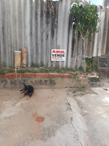 imagem 2 - terreno em avenida com projeto aprovado para construção de uma casa imagem 2 - terreno em avenida com projeto aprovado para construção de uma casa