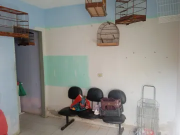 imagem 3 - casa - ótima oportunidade no Morumbi imagem 3 - casa - ótima oportunidade no Morumbi