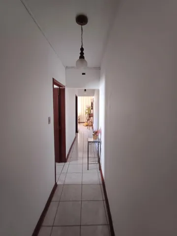 imagem 4 - Casa térrea em excelente localização no bairro Monte Castelo imagem 4 - Casa térrea em excelente localização no bairro Monte Castelo