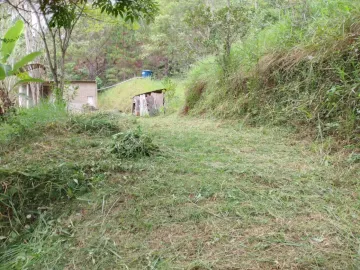 imagem 3 - Chácara Jambeiro 5.000 m² - Com escritura imagem 3 - Chácara Jambeiro 5.000 m² - Com escritura