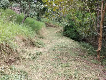 imagem 4 - Chácara Jambeiro 5.000 m² - Com escritura imagem 4 - Chácara Jambeiro 5.000 m² - Com escritura