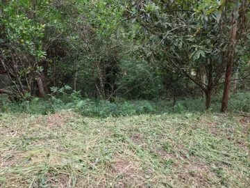 imagem 5 - Chácara Jambeiro 5.000 m² - Com escritura imagem 5 - Chácara Jambeiro 5.000 m² - Com escritura
