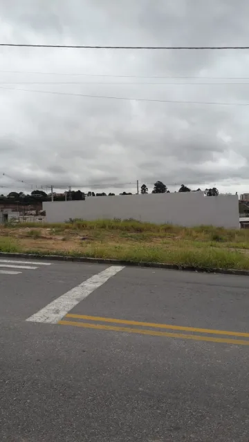 imagem 1 - Lote Comercial Totalmente Plano imagem 1 - Lote Comercial Totalmente Plano