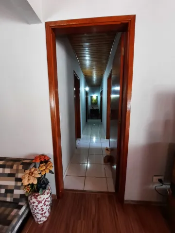 imagem 4 - Chácara em São Bento do Sapucaí com Escritura registrada imagem 4 - Chácara em São Bento do Sapucaí com Escritura registrada