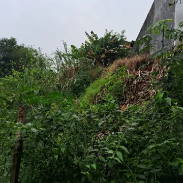 imagem 4 - Terreno - Padrão imagem 4 - Terreno - Padrão