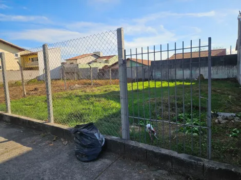 imagem 2 - aluga se terreno av. Mario Friggi imagem 2 - aluga se terreno av. Mario Friggi